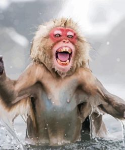 Happy Snow Monkey Art Paint By Numbers