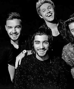 One Direction Band Paint By Numbers