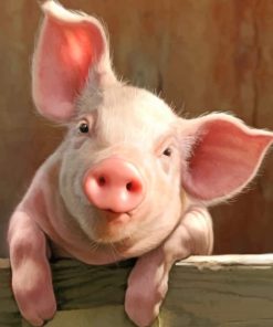 Happy Pig Paint By Numbers