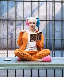 Harley Quinn Pink Portrait Paint By Numbers