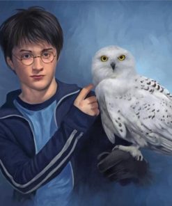 Harry Potter and Hedwig Owl Paint By Numbers