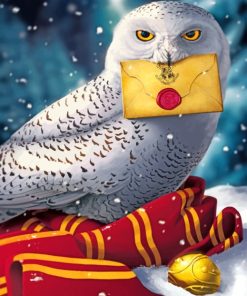 Hogwarts Hedwig Owl Paint By Numbers