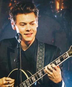 Harry Styles Guitarist Tribute Paint By Numbers