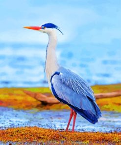 Elegant Heron Paint By Numbers