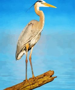 Heron Wildlife Paint By Numbers