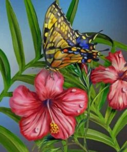 Hibiscus Swallowtail Paint By Numbers