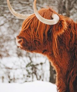 Highland Cow Snowy Landscape Paint By Numbers