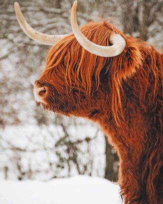 Highland Cow Snowy Landscape Paint By Numbers