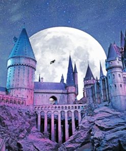 Magic of Hogwarts Paint By Numbers
