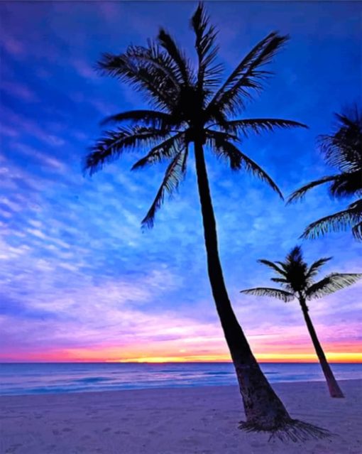 hollywood-beach-paint-by-numbers