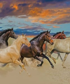 Arabian Horses in Motion Paint By Numbers