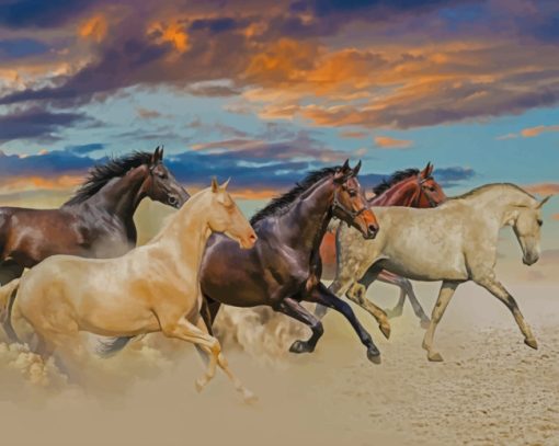 horses-running-in-desert-paint-by-numbers