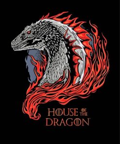 House Of The Dragon Fantasy Series Paint By Numbers