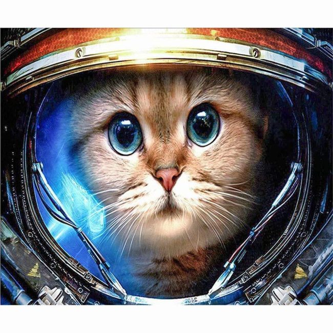 Astronaut Cat in Space Paint By Numbers