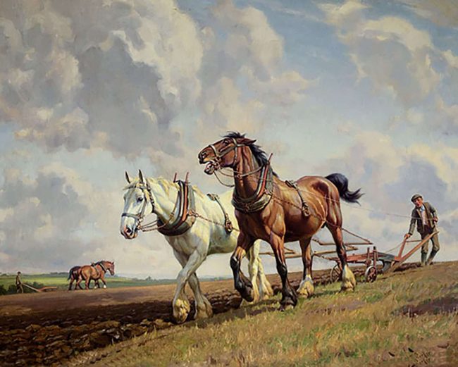 Horse Ploughing Stallions Paint By Numbers