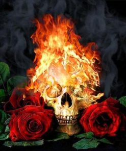 Skull and Flame Roses Paint By Numbers