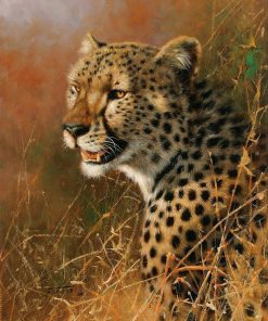 African Big Cat Paint By Numbers