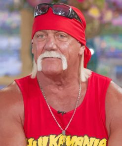 Hulk Hogan Wrestling Icon Paint By Numbers