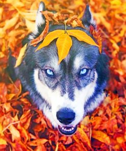 Autumn Husky Adventure Paint By Numbers