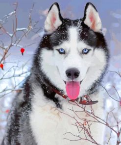 Winter Husky Paint By Numbers
