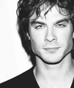 Ian Somerhalder Fans Paint By Numbers
