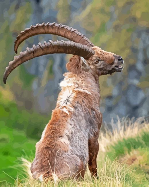 Finalizing Alpine Ibex painting