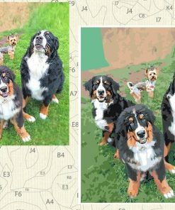 Create Your Custom Paint By Numbers With Frame
