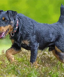 Jagdterrier Dog Art Paint By Numbers