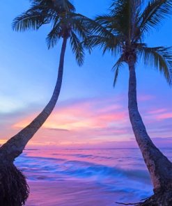 Jamaican Palm Oasis Paint By Numbers