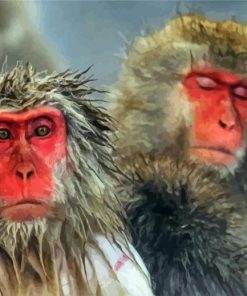 Japanese Snow Monkey Animal Paint By Numbers