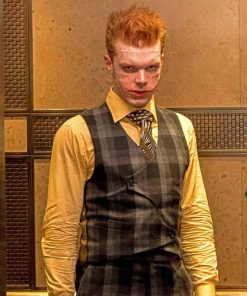 Jerome Valeska Gotham Series Paint By Numbers