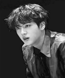 Kim Seok Jin Kpop Paint By Numbers