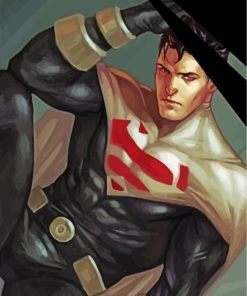 Superman Justice Lord Paint By Numbers