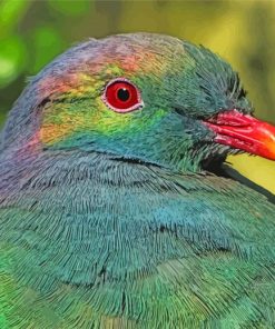 Hemiphaga Bird Paint By Numbers