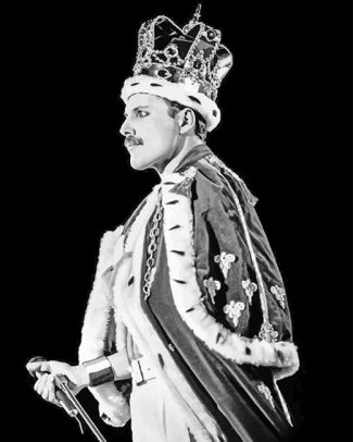 Freddie Mercury Black and White Paint By Numbers