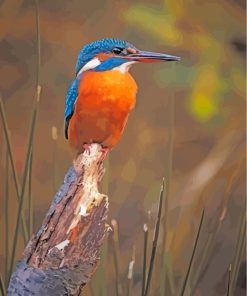 Kingfisher Blue Paint By Numbers
