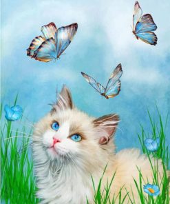 Kitten and Butterfly Magic Paint By Numbers