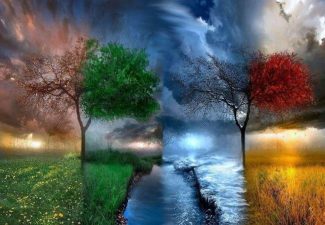 Four Seasons Tree Landscape Paint By Numbers