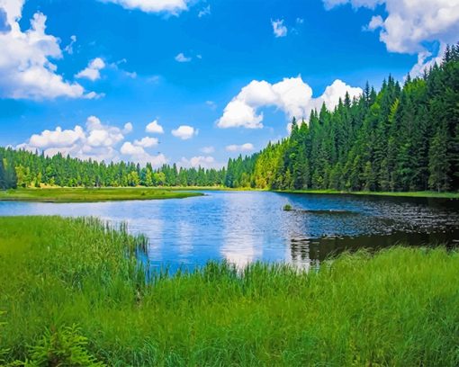 kleiner-arbersee-lake-adult-paint-by-numbers