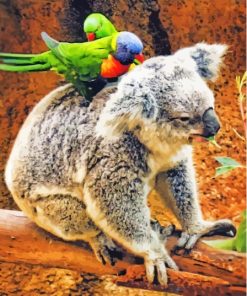 Koala and Lorikeet Animal Paint By Numbers