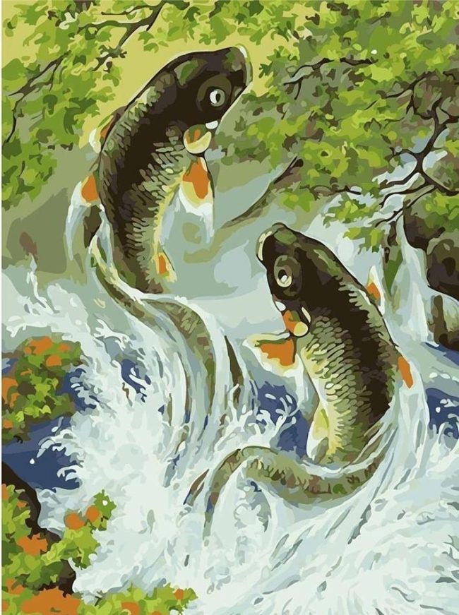 Koi Fish Animals Paint By Numbers