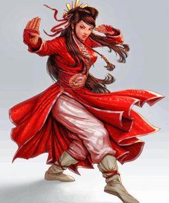 Asian Kung Fu Woman Paint By Numbers