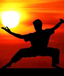 Kicks Kung Fu Inspiration Paint By Numbers