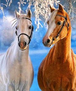 White and Yellow Horse Paint By Numbers