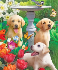 Labradors and Gardens Paint By Numbers
