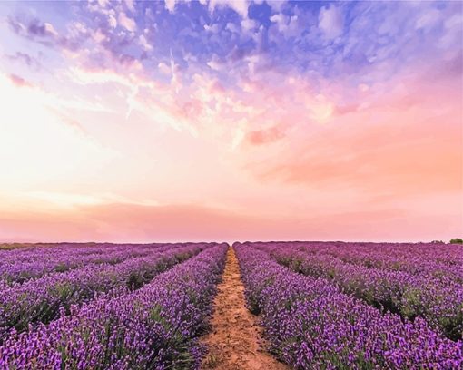 lavender-field-adult-paint-by-numbers