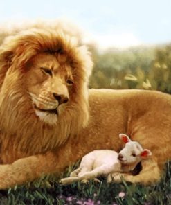 Lions and Lambs Paint By Numbers