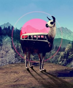 Colorful Llama Car Animals Paint By Numbers