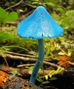 Blue Mushroom Fantasy Paint By Numbers