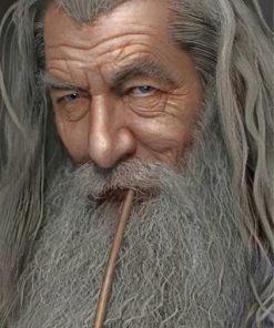 Gandalf Magic Scene Paint By Numbers